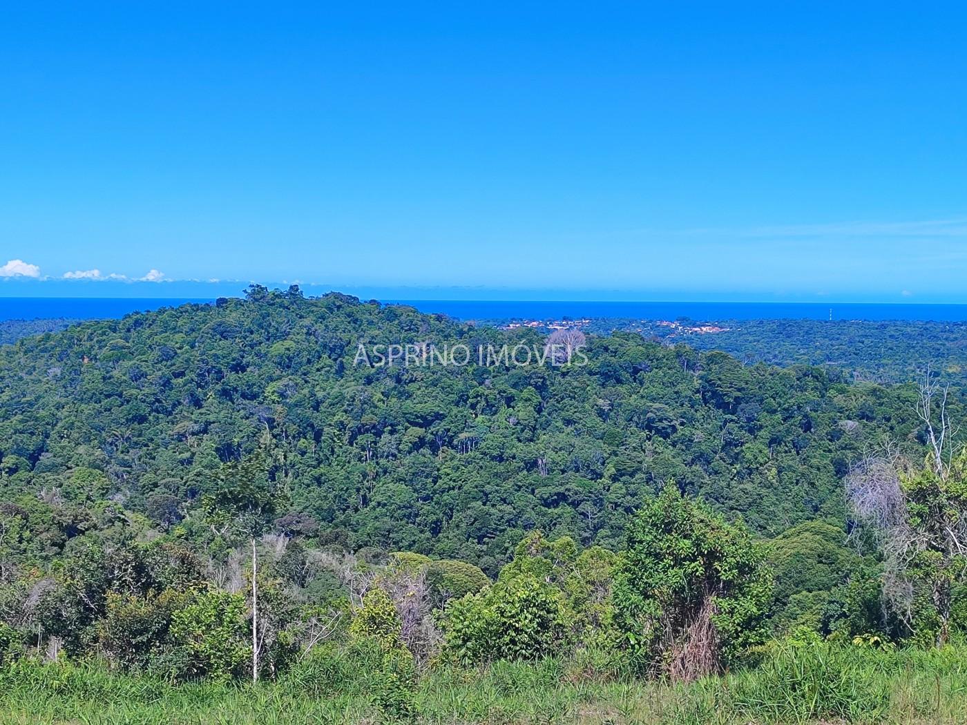 Chácara, 35 hectares - Foto 1