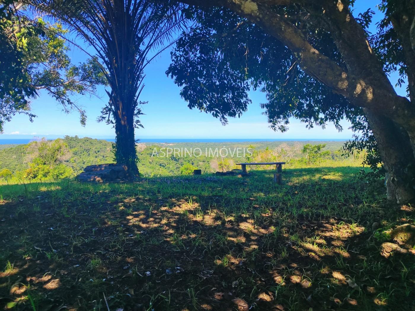Chácara, 35 hectares - Foto 10