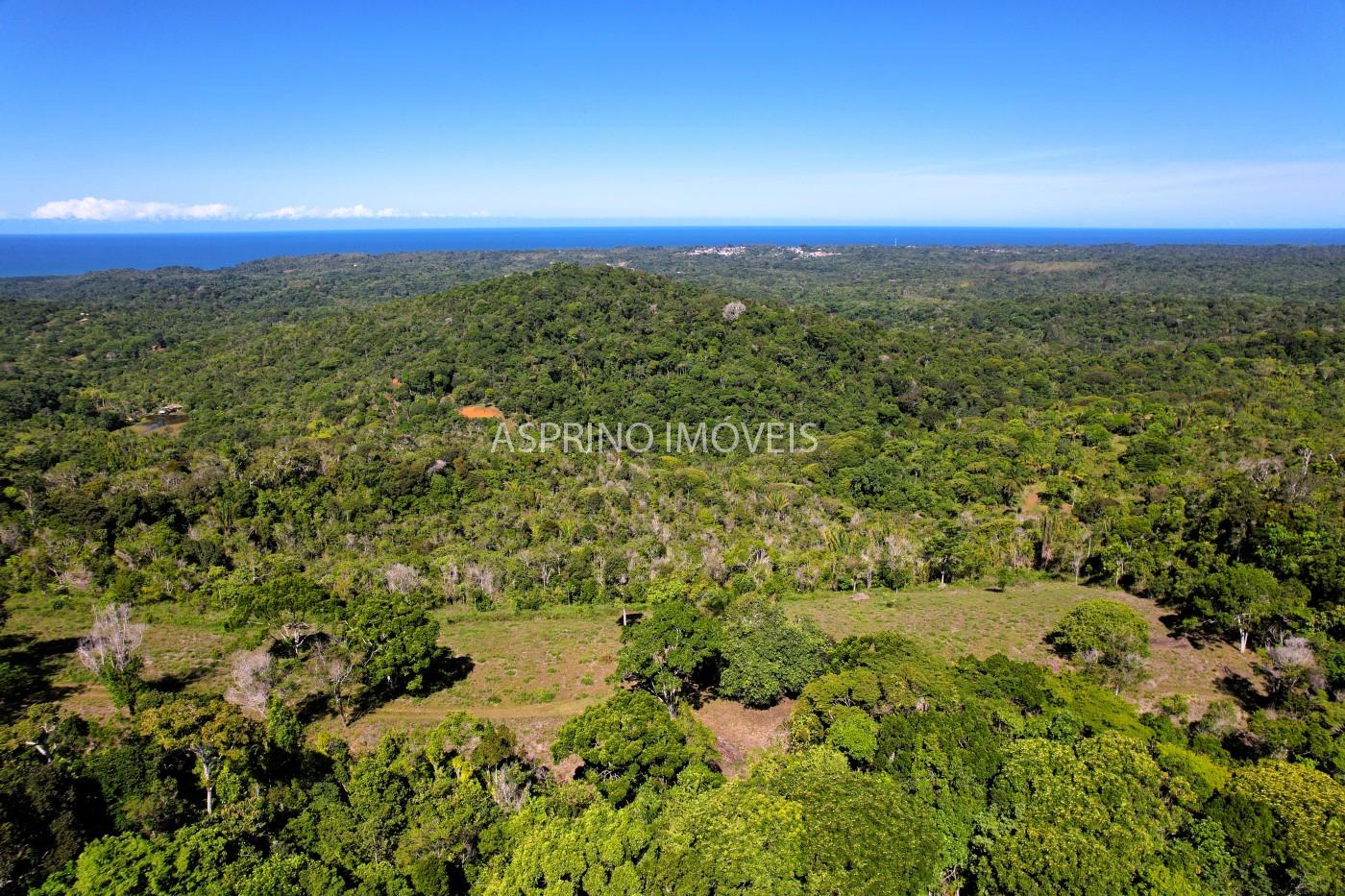 Chácara, 35 hectares - Foto 11