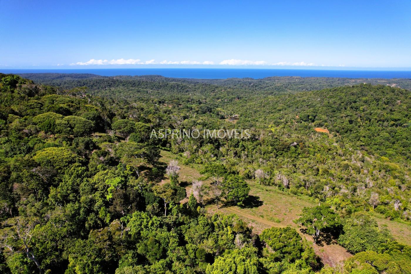 Chácara, 35 hectares - Foto 12