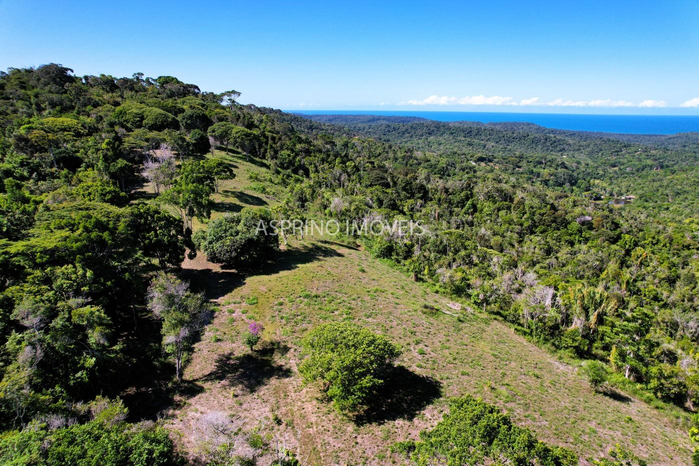 Chácara, 35 hectares - Foto 13