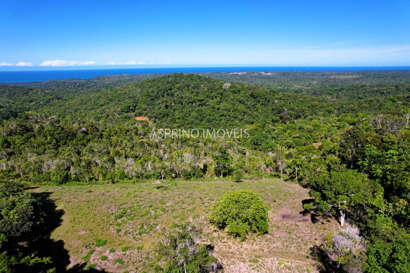 Chácara, 35 hectares - Foto 14