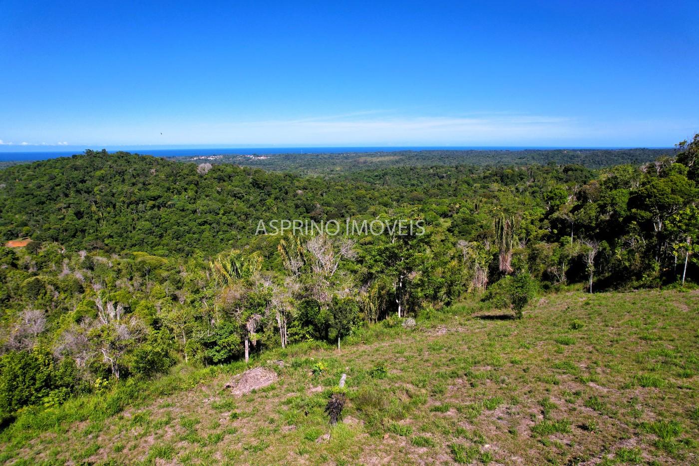 Chácara, 35 hectares - Foto 17