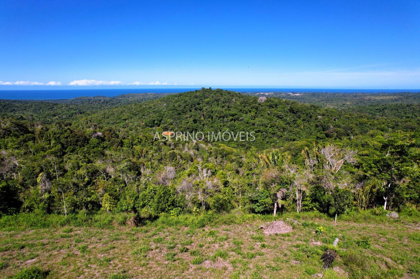 Chácara, 35 hectares - Foto 16
