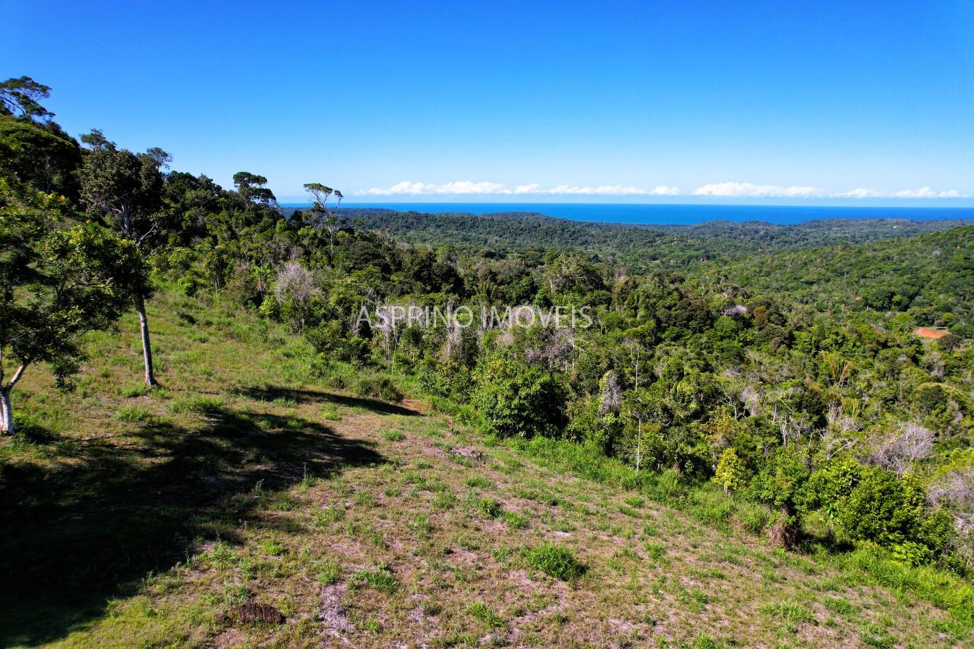 Chácara, 35 hectares - Foto 15