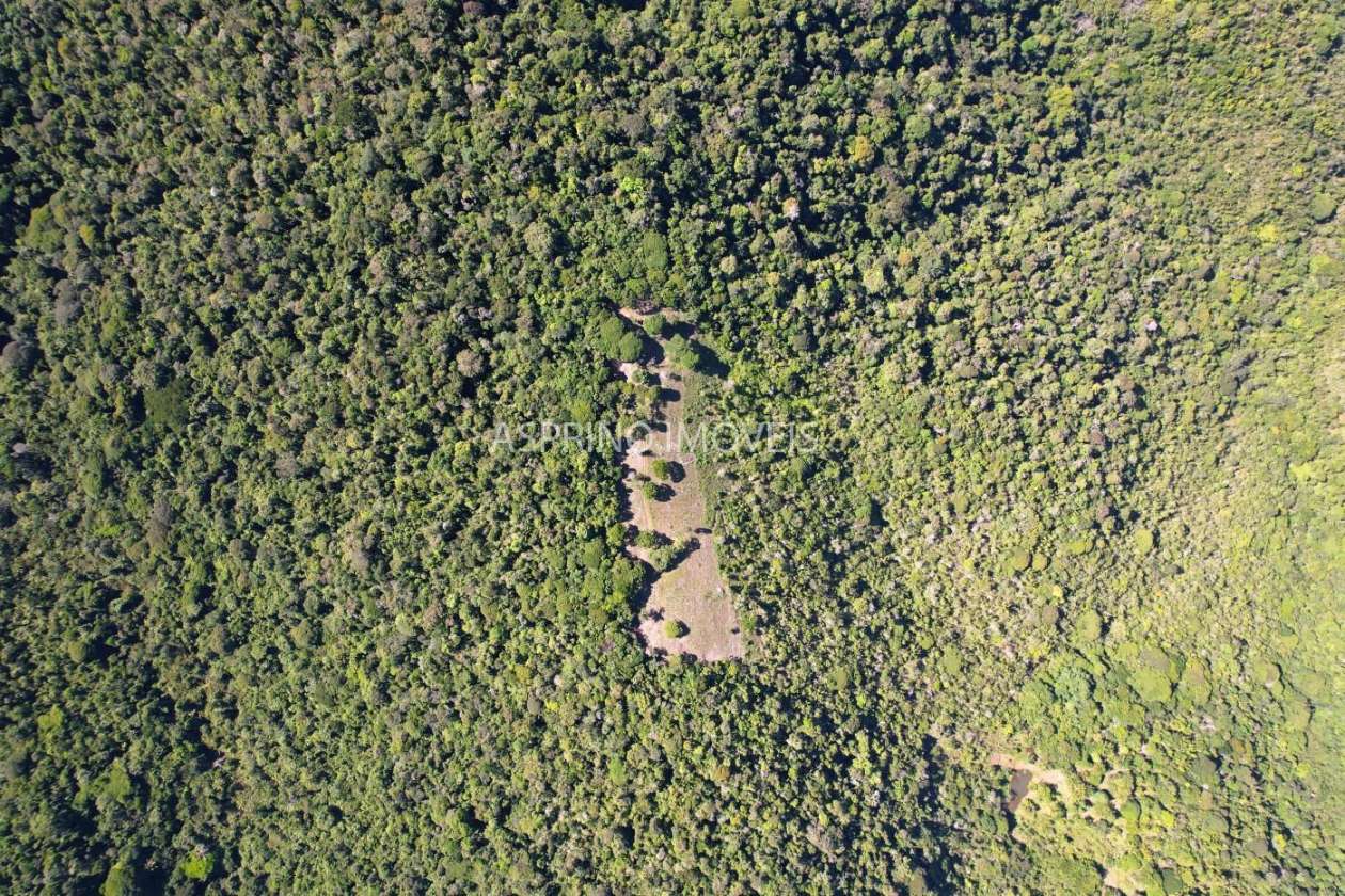 Chácara, 35 hectares - Foto 25