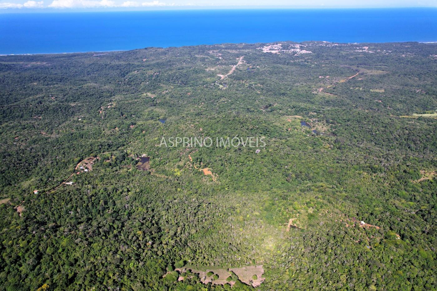 Chácara, 35 hectares - Foto 24