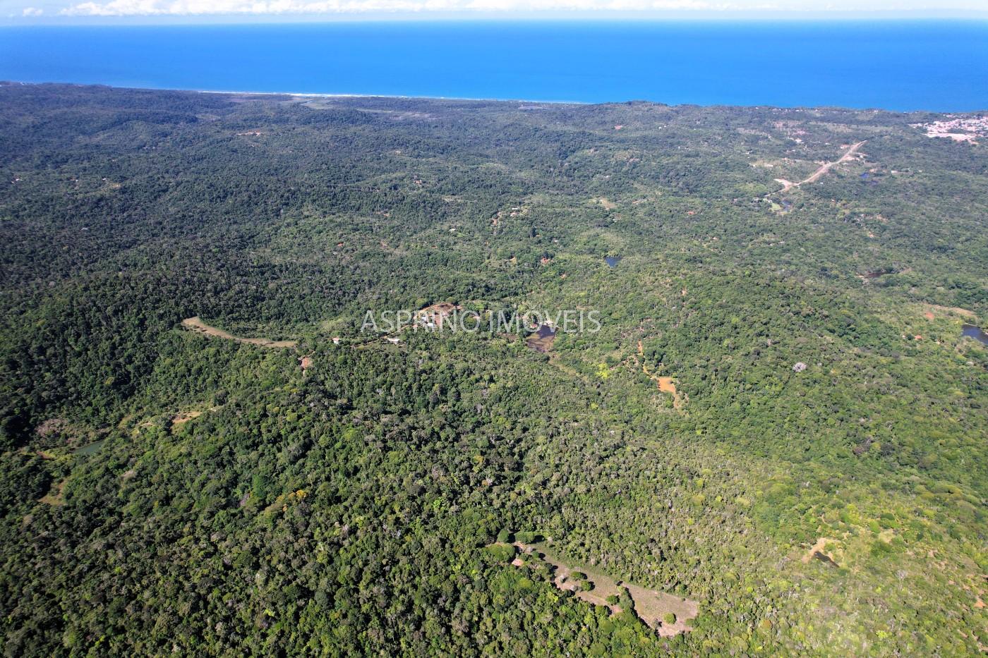 Chácara, 35 hectares - Foto 23