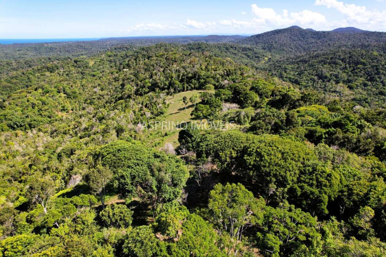 Chácara, 35 hectares - Foto 19