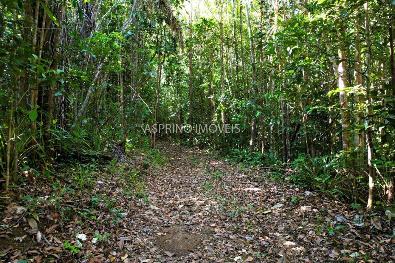 Chácara, 35 hectares - Foto 26