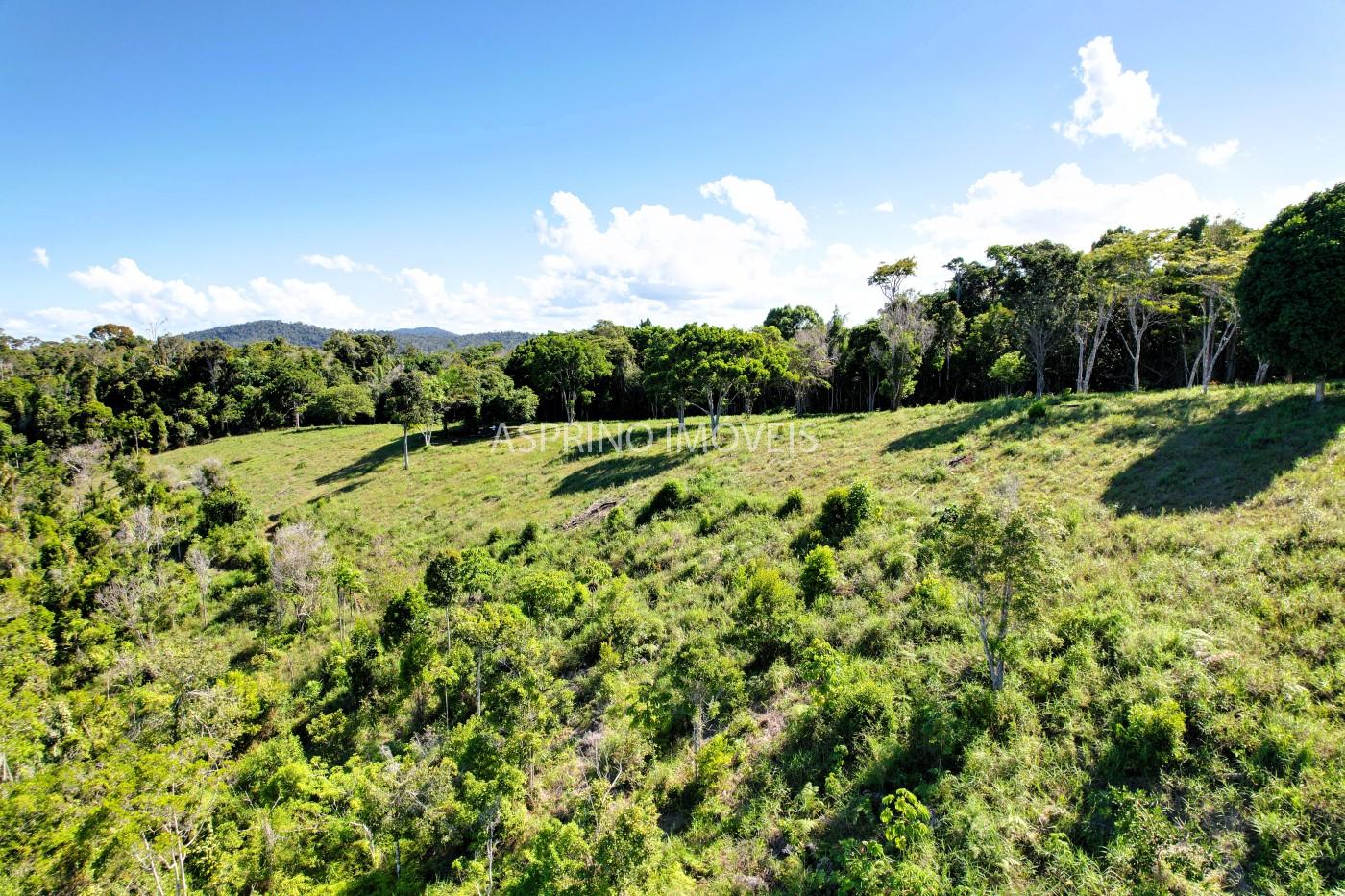 Chácara, 35 hectares - Foto 18