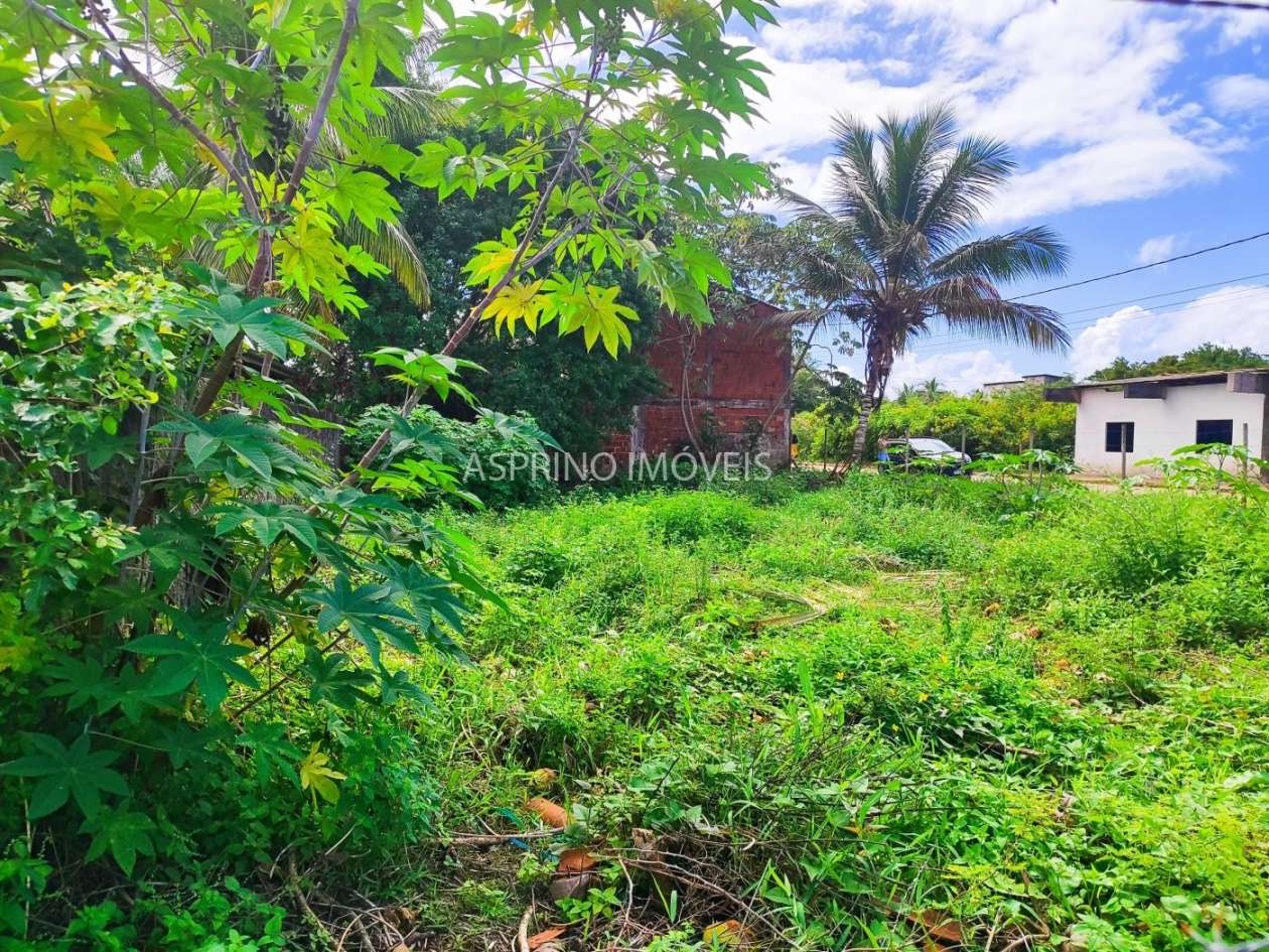 Terreno, 460 m² - Foto 10