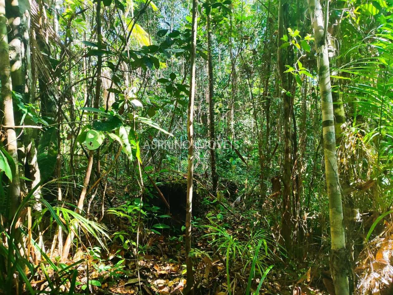 Terreno, 6 hectares - Foto 7