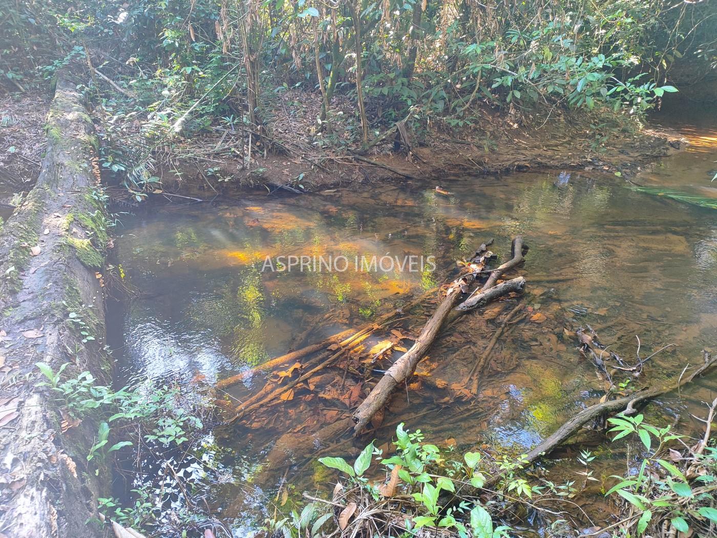 Terreno, 6 hectares - Foto 11