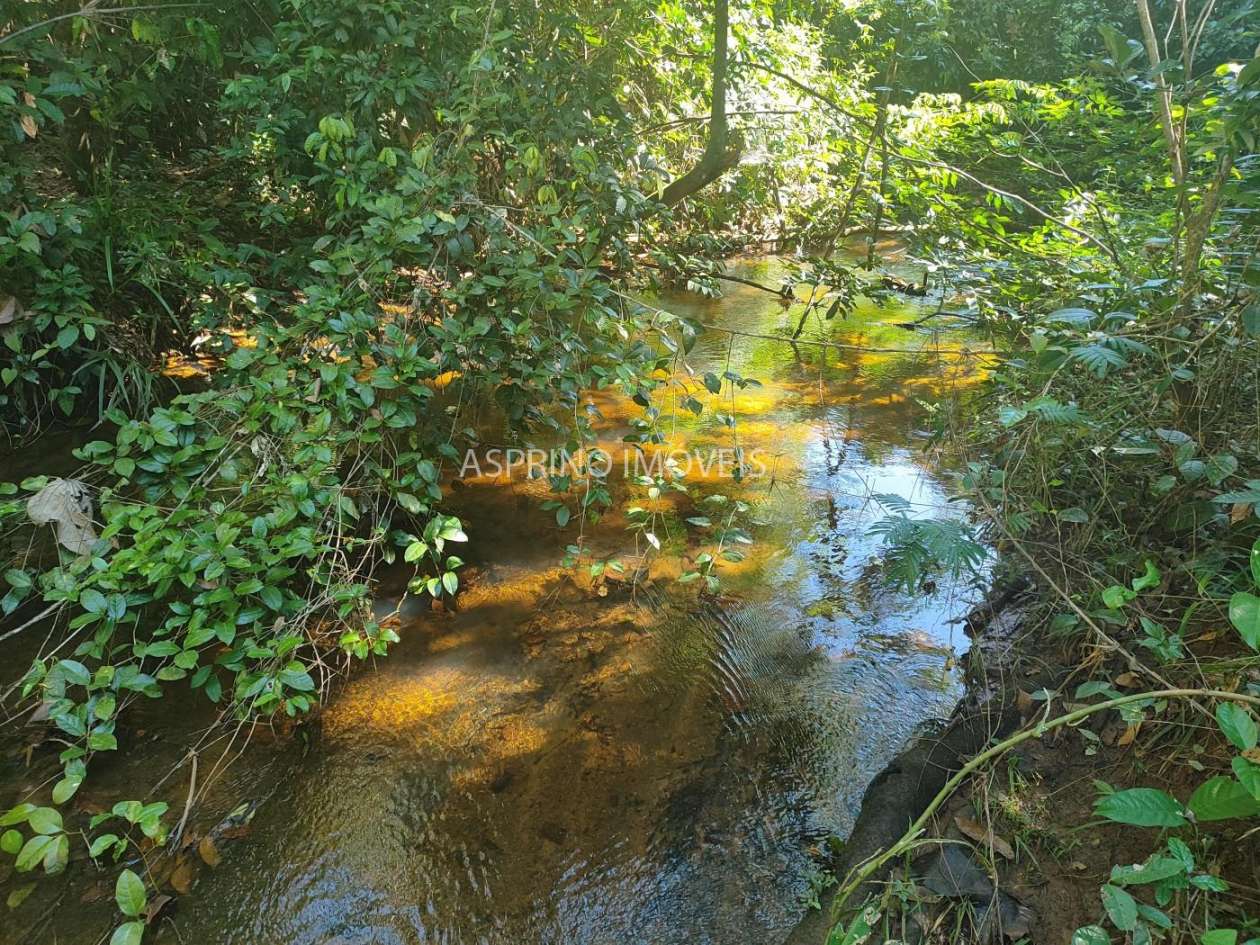 Terreno, 6 hectares - Foto 9