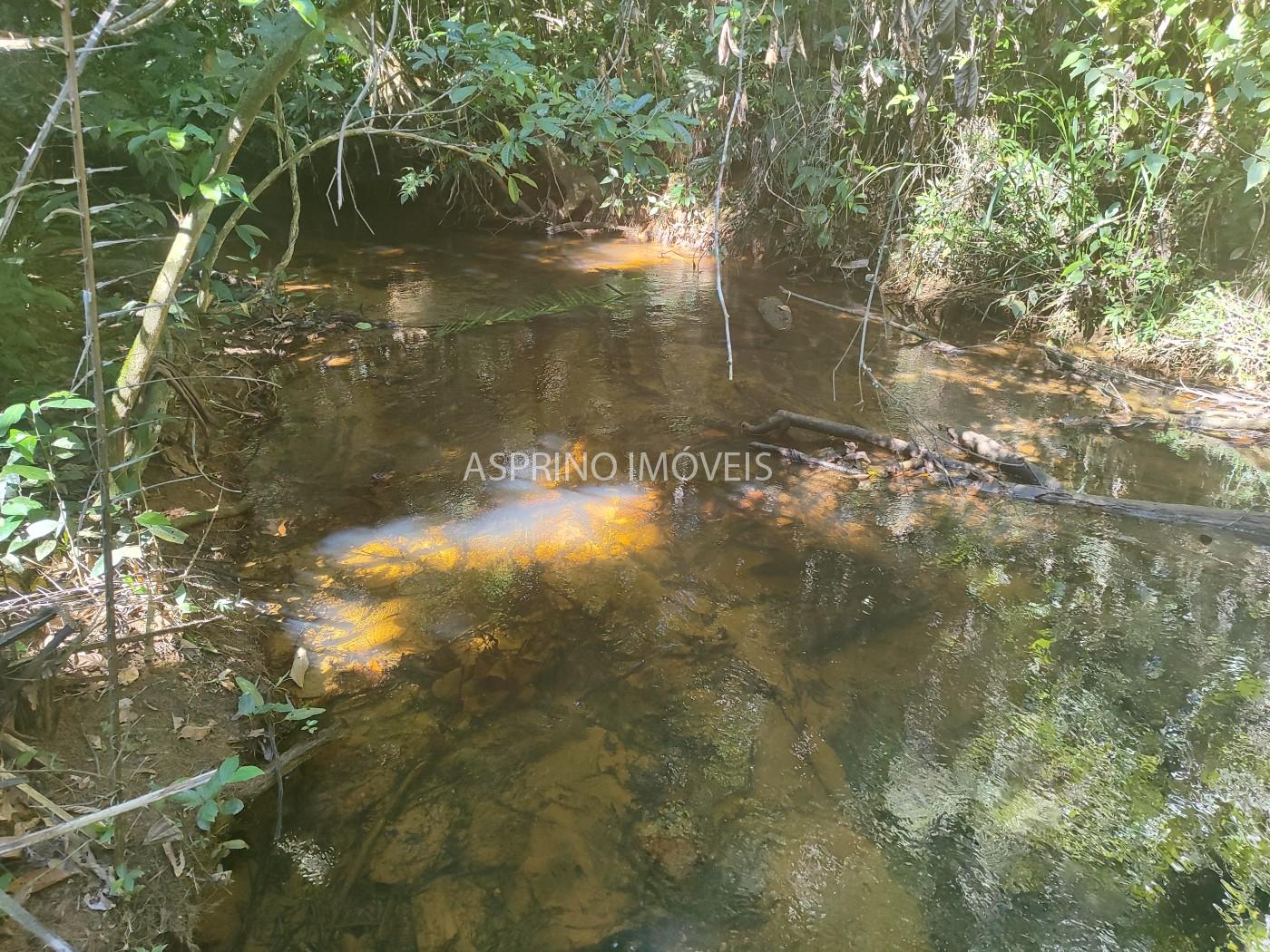 Terreno, 6 hectares - Foto 10