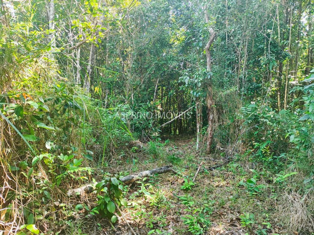 Terreno, 6 hectares - Foto 14