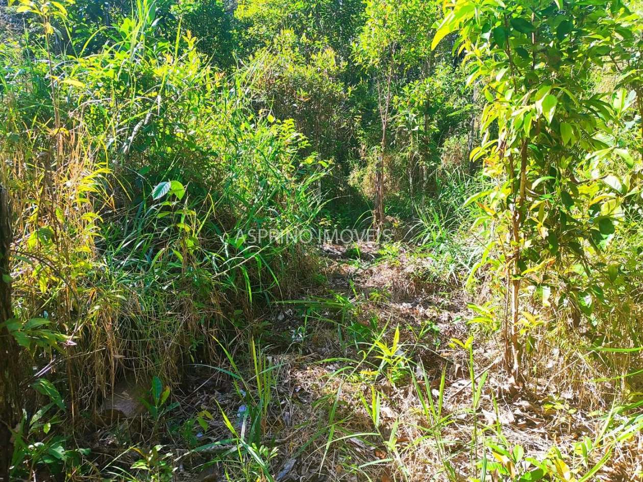 Terreno, 6 hectares - Foto 15