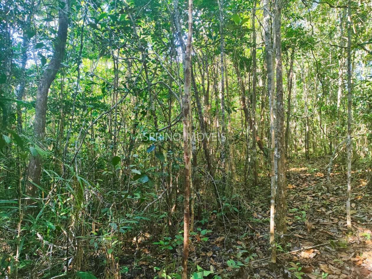 Terreno, 6 hectares - Foto 16