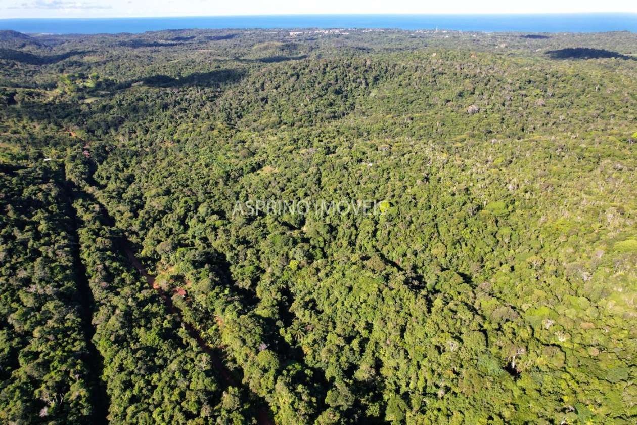 Terreno, 6 hectares - Foto 18