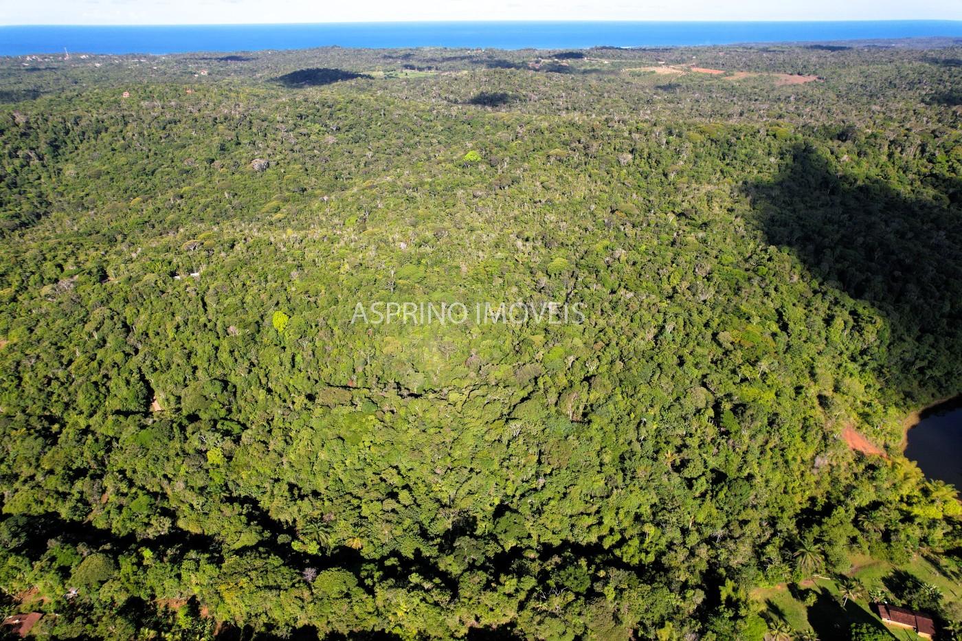 Terreno, 6 hectares - Foto 19