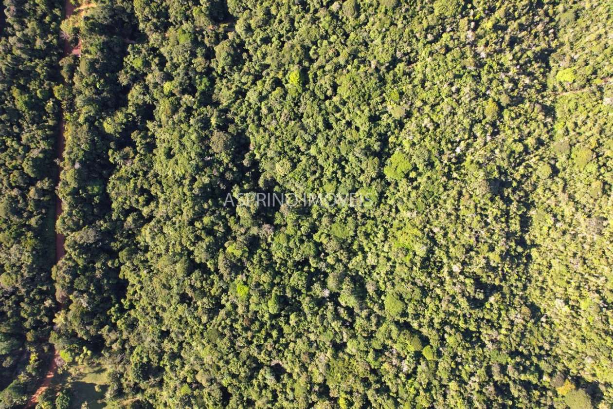 Terreno, 6 hectares - Foto 20