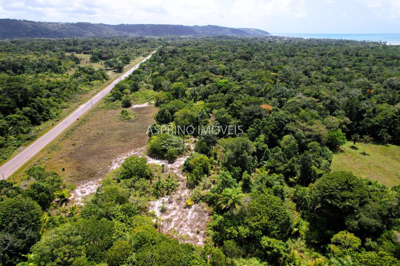 Chácara, 2 quartos, 40 hectares - Foto 4