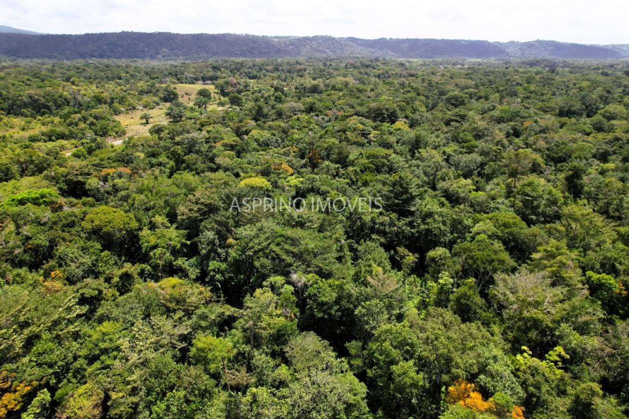 Chácara, 2 quartos, 40 hectares - Foto 11