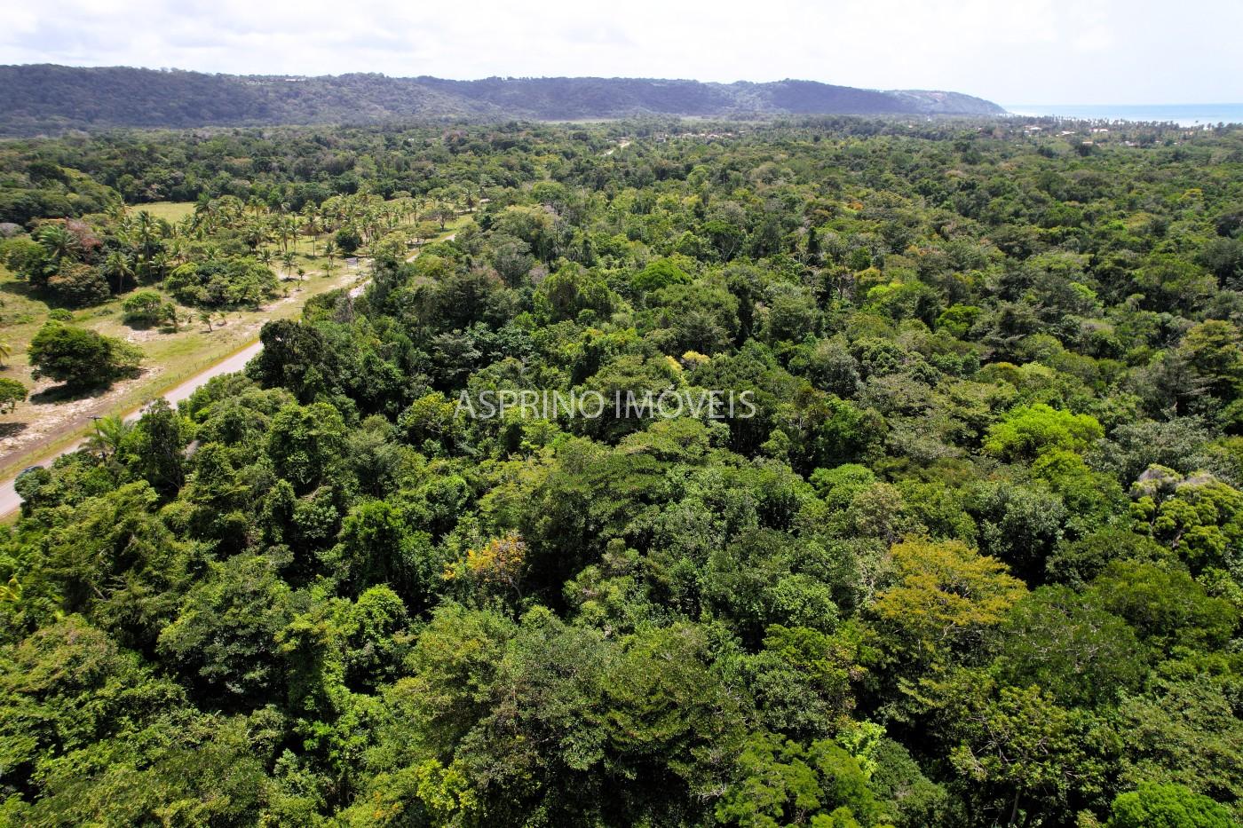 Chácara, 2 quartos, 40 hectares - Foto 7