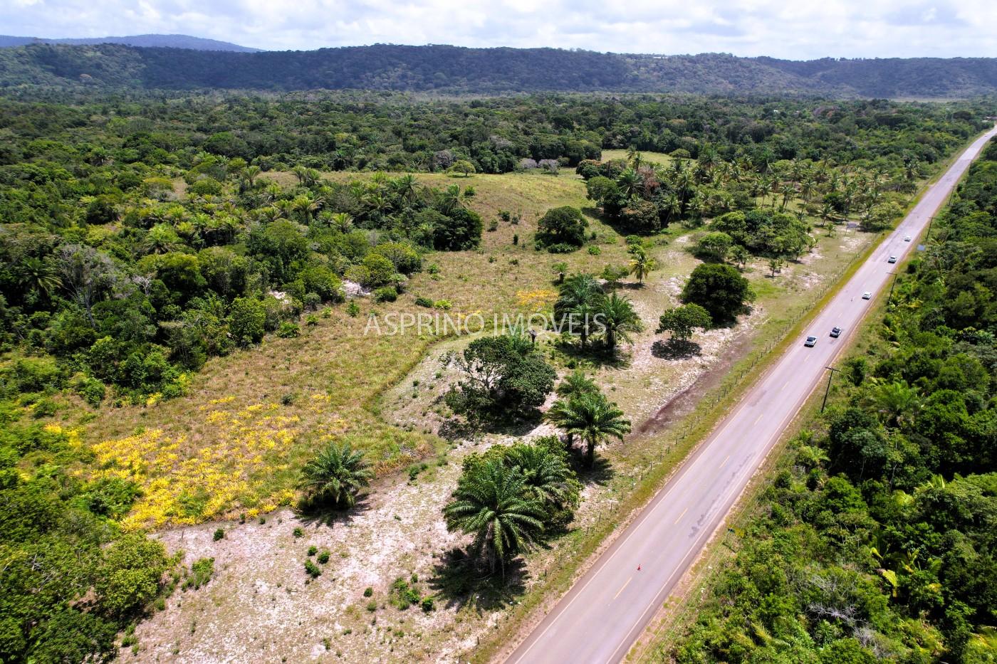 Chácara, 2 quartos, 40 hectares - Foto 1