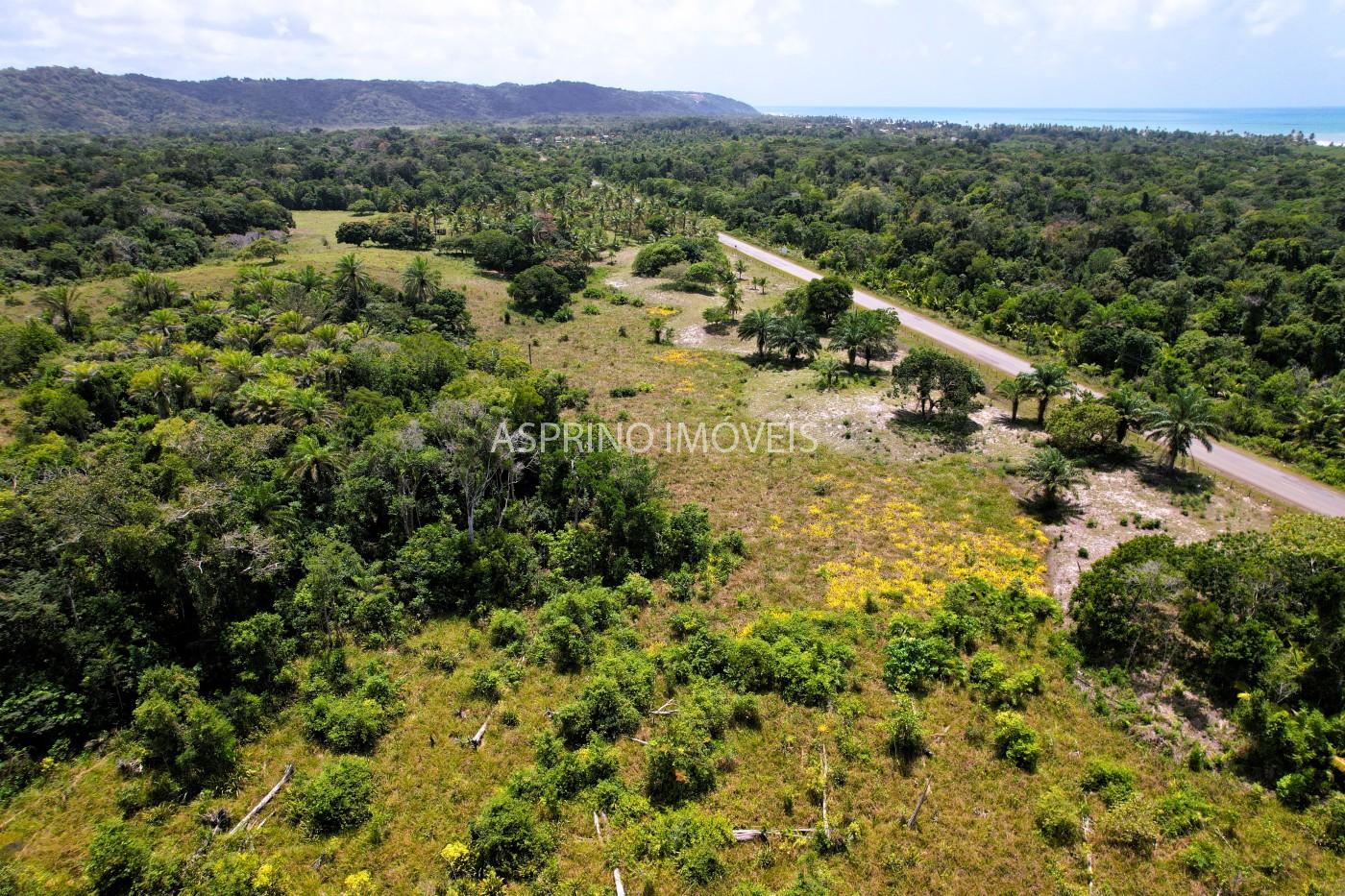 Chácara, 2 quartos, 40 hectares - Foto 2