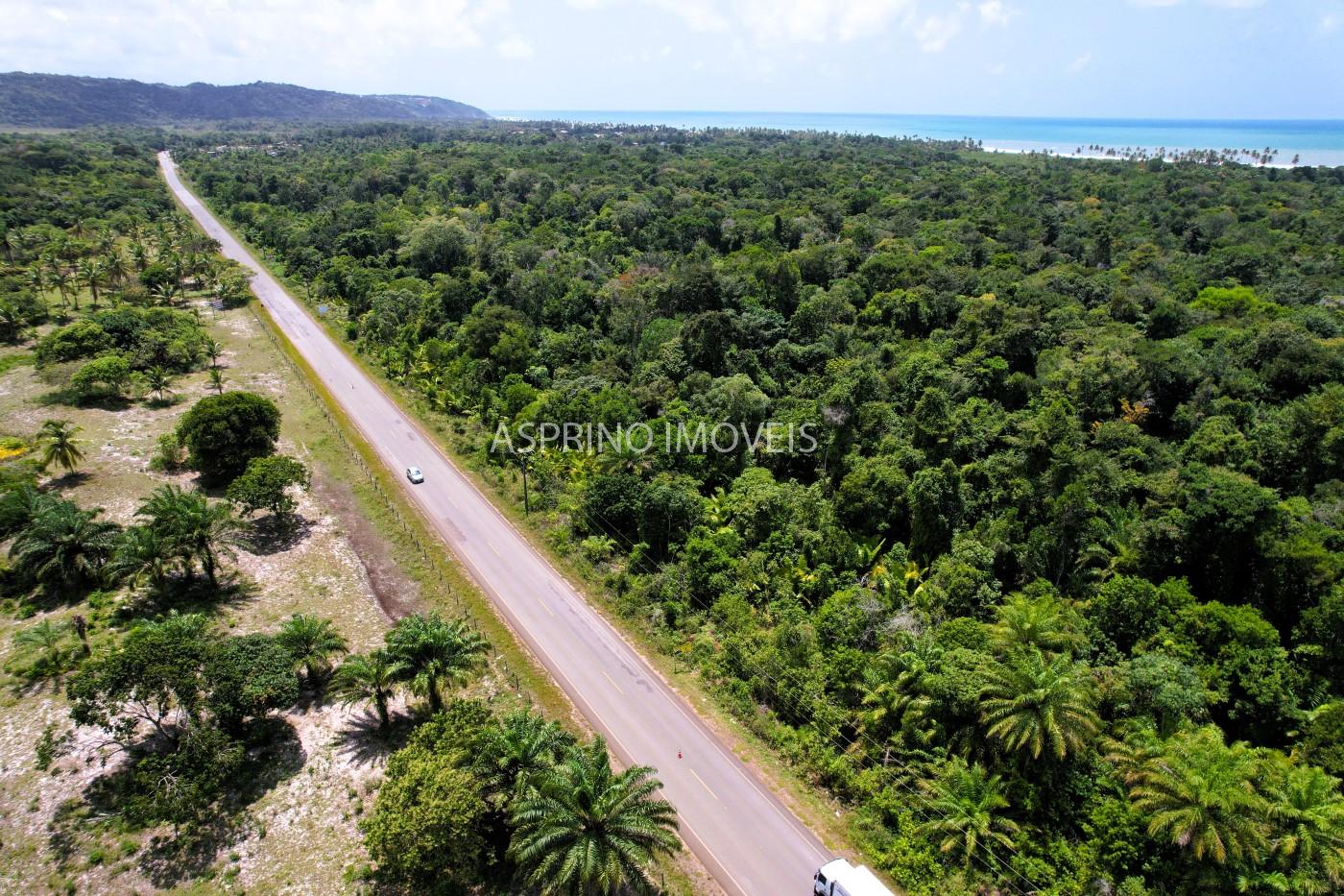 Chácara, 2 quartos, 40 hectares - Foto 3