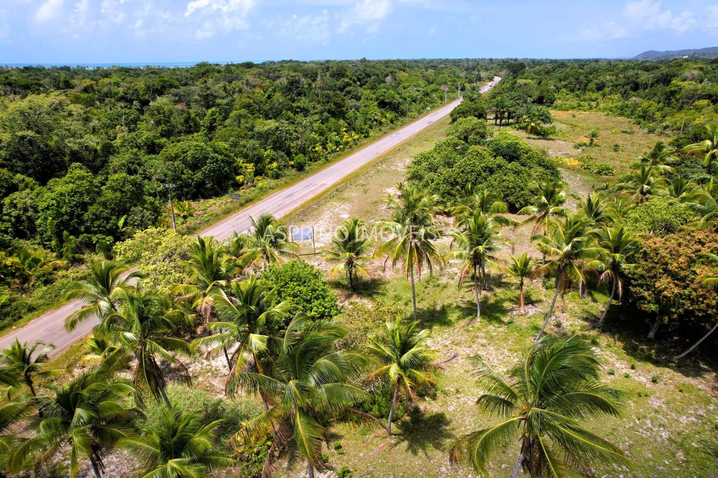 Chácara, 2 quartos, 40 hectares - Foto 6