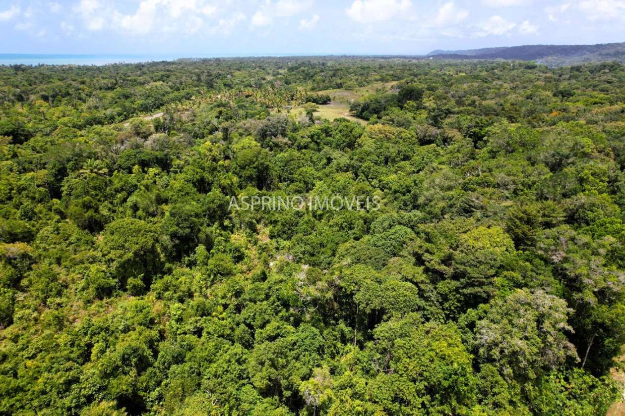 Chácara, 2 quartos, 40 hectares - Foto 12