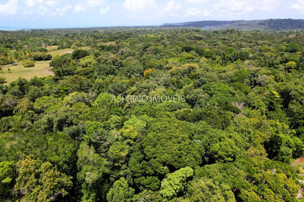 Chácara, 2 quartos, 40 hectares - Foto 13