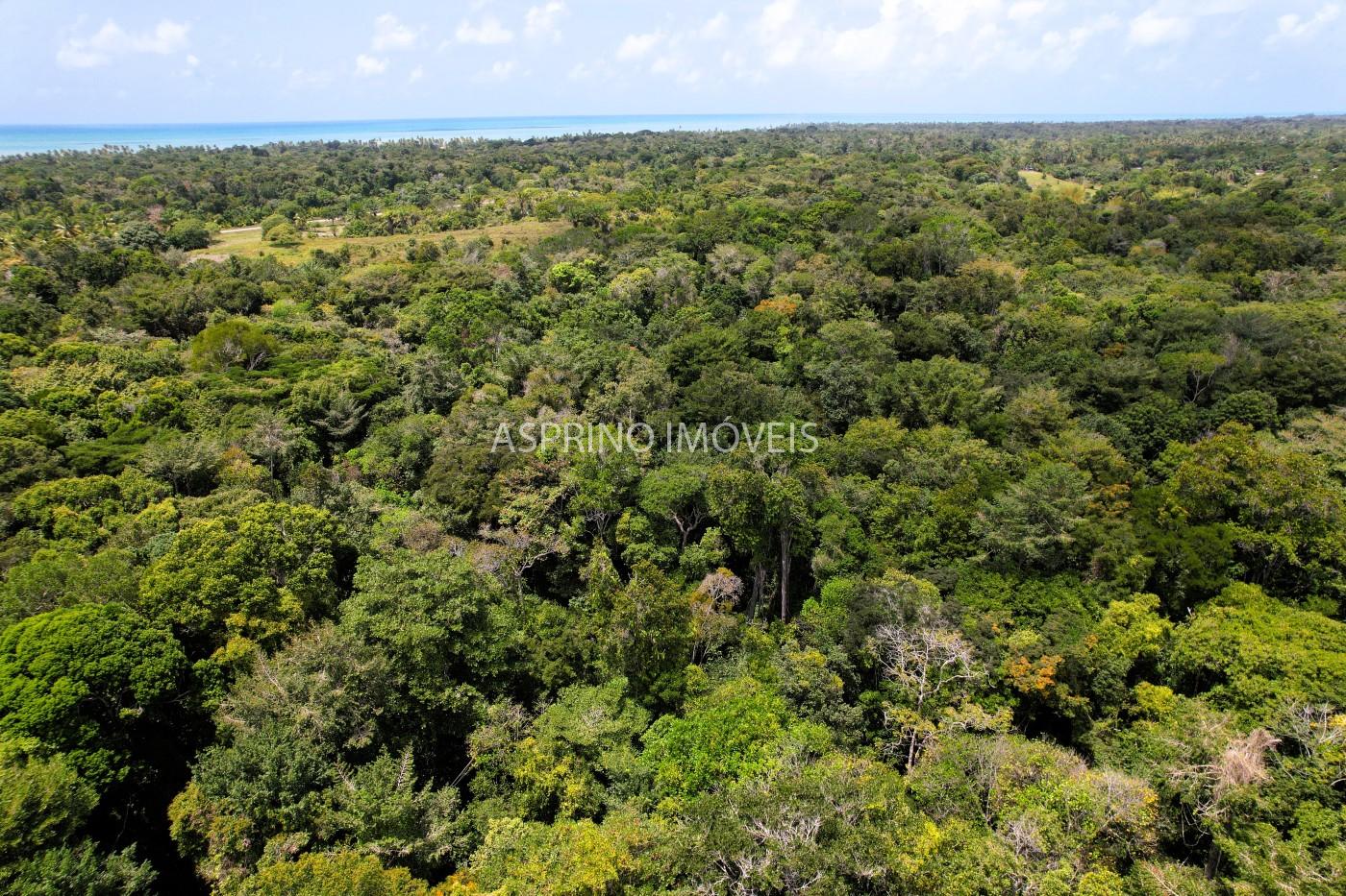 Chácara, 2 quartos, 40 hectares - Foto 15
