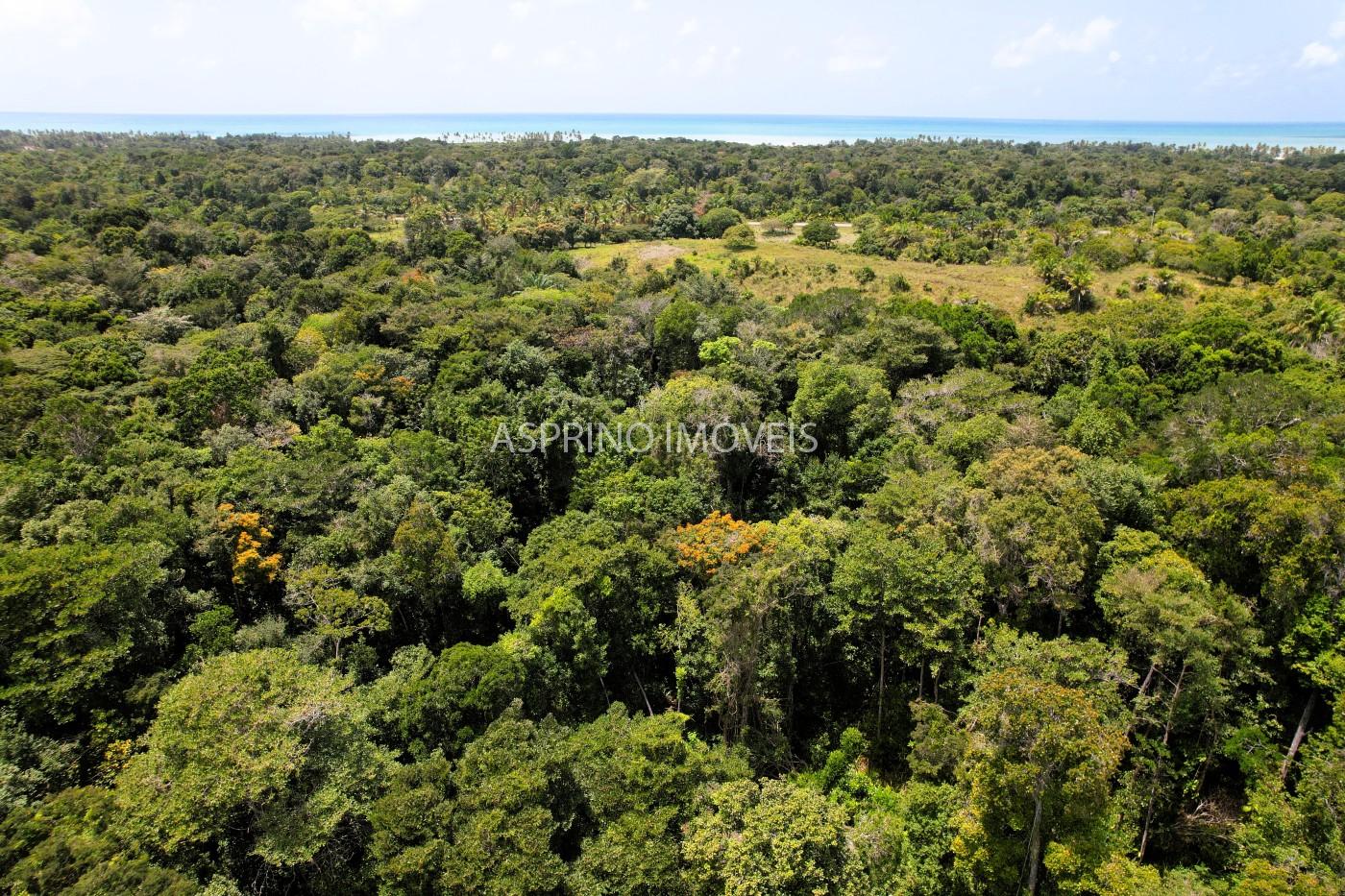 Chácara, 2 quartos, 40 hectares - Foto 16