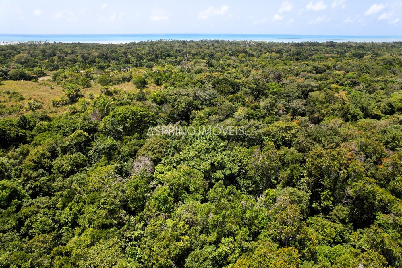 Chácara, 2 quartos, 40 hectares - Foto 17