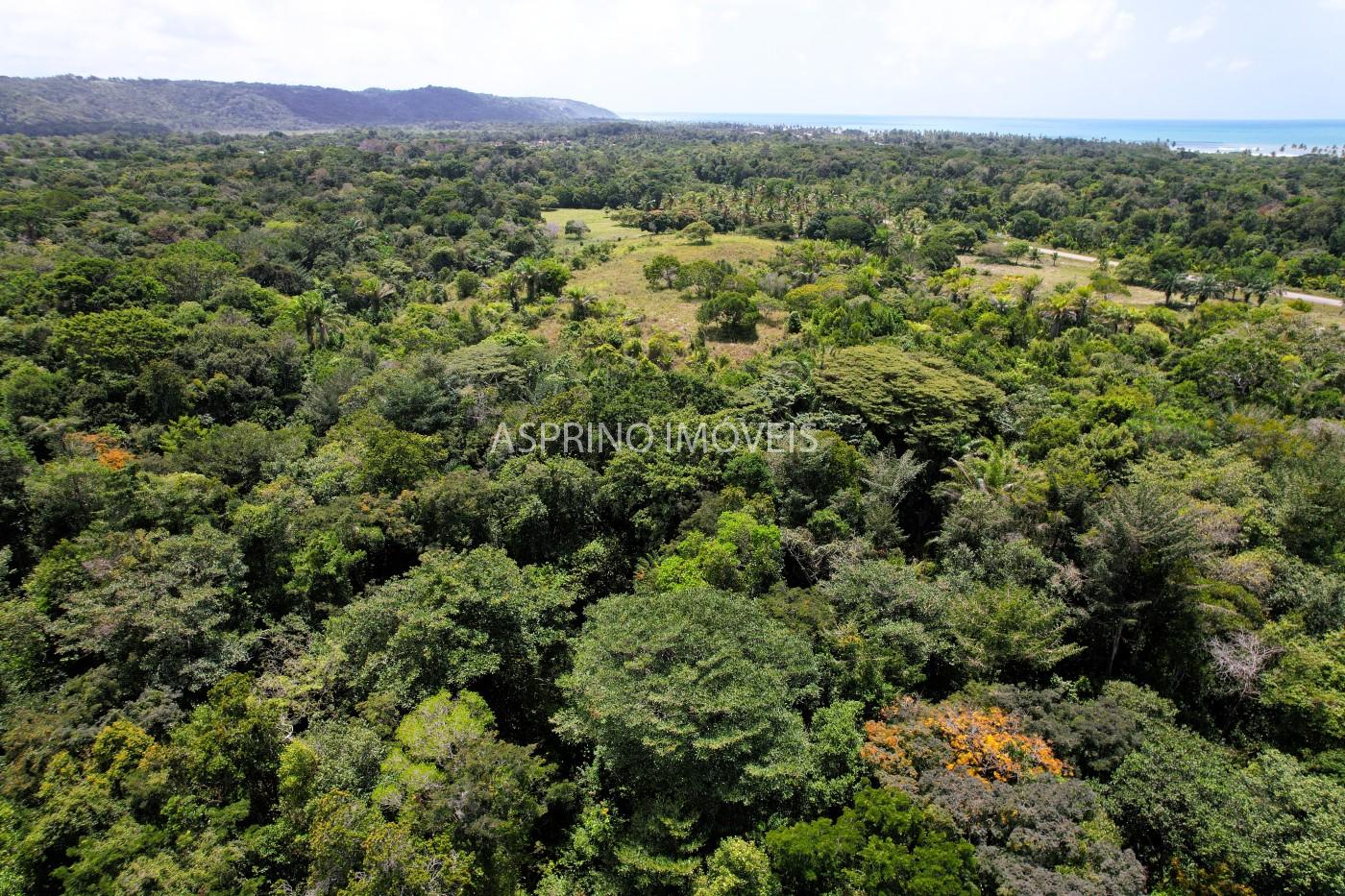 Chácara, 2 quartos, 40 hectares - Foto 18