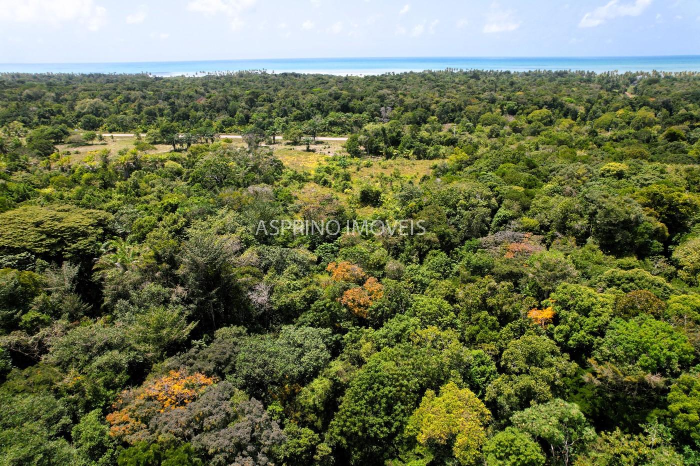 Chácara, 2 quartos, 40 hectares - Foto 19
