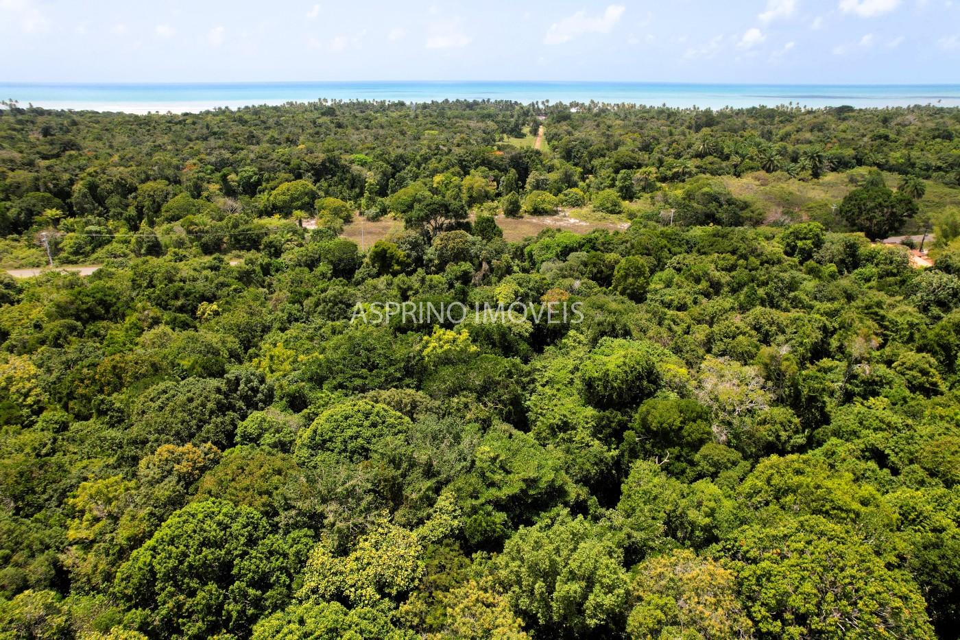 Chácara, 2 quartos, 40 hectares - Foto 20