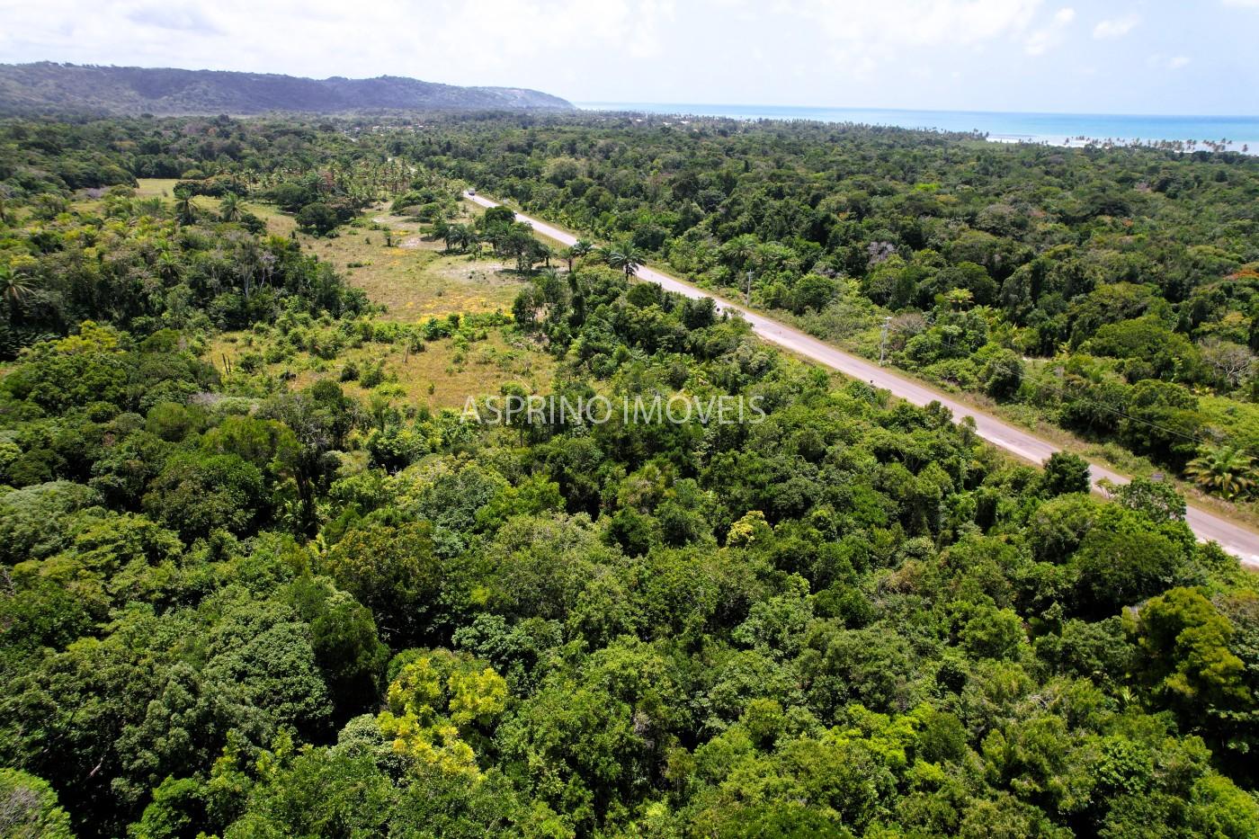 Chácara, 2 quartos, 40 hectares - Foto 8