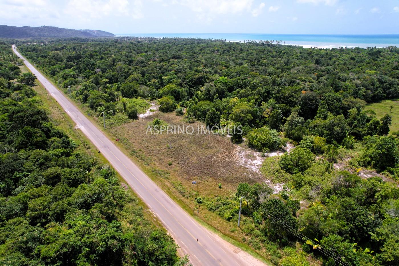 Chácara, 2 quartos, 40 hectares - Foto 10