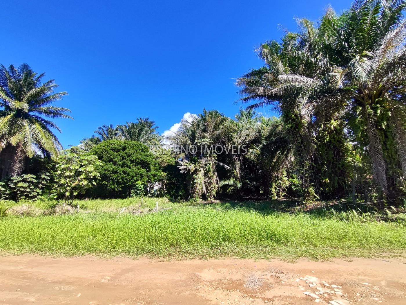 Terreno, 800 m² - Foto 3