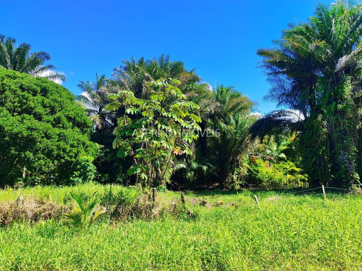 Terreno, 800 m² - Foto 5
