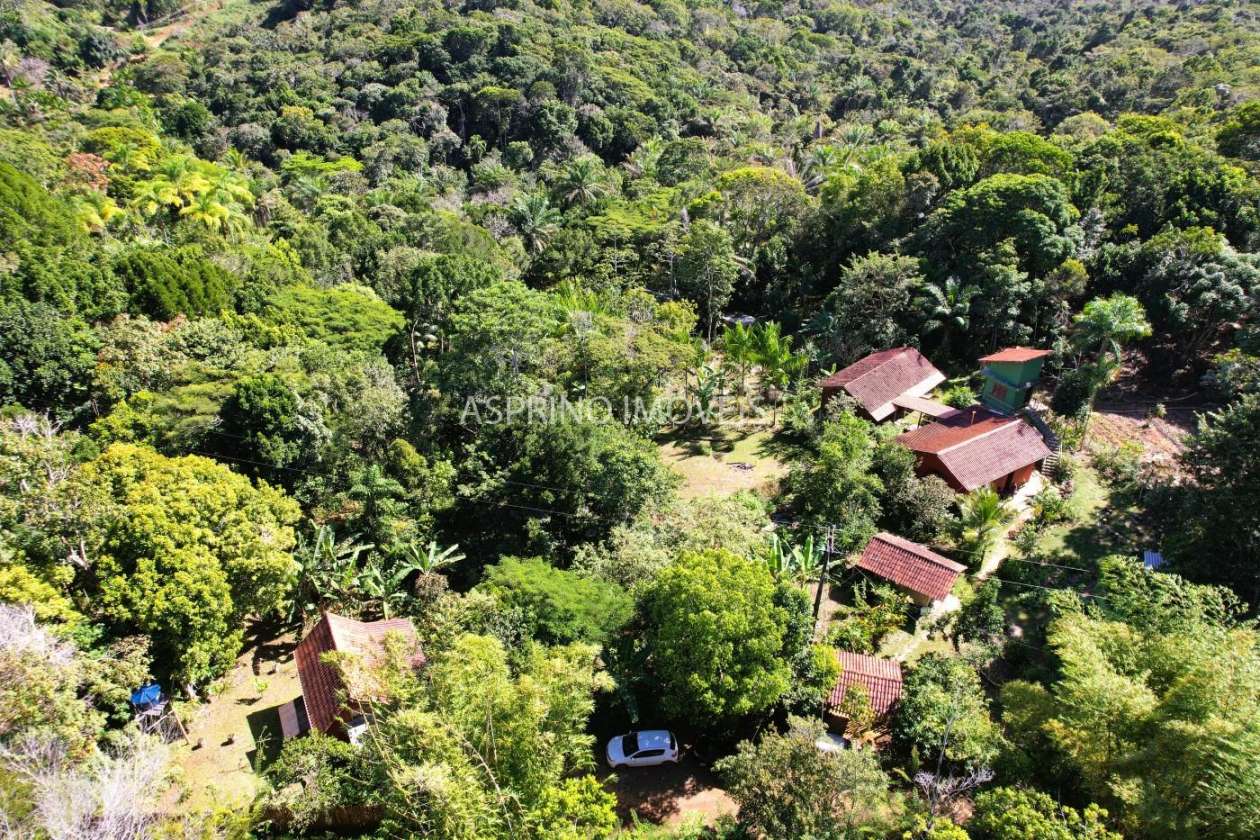 Chácara, 4 quartos, 4 hectares - Foto 3