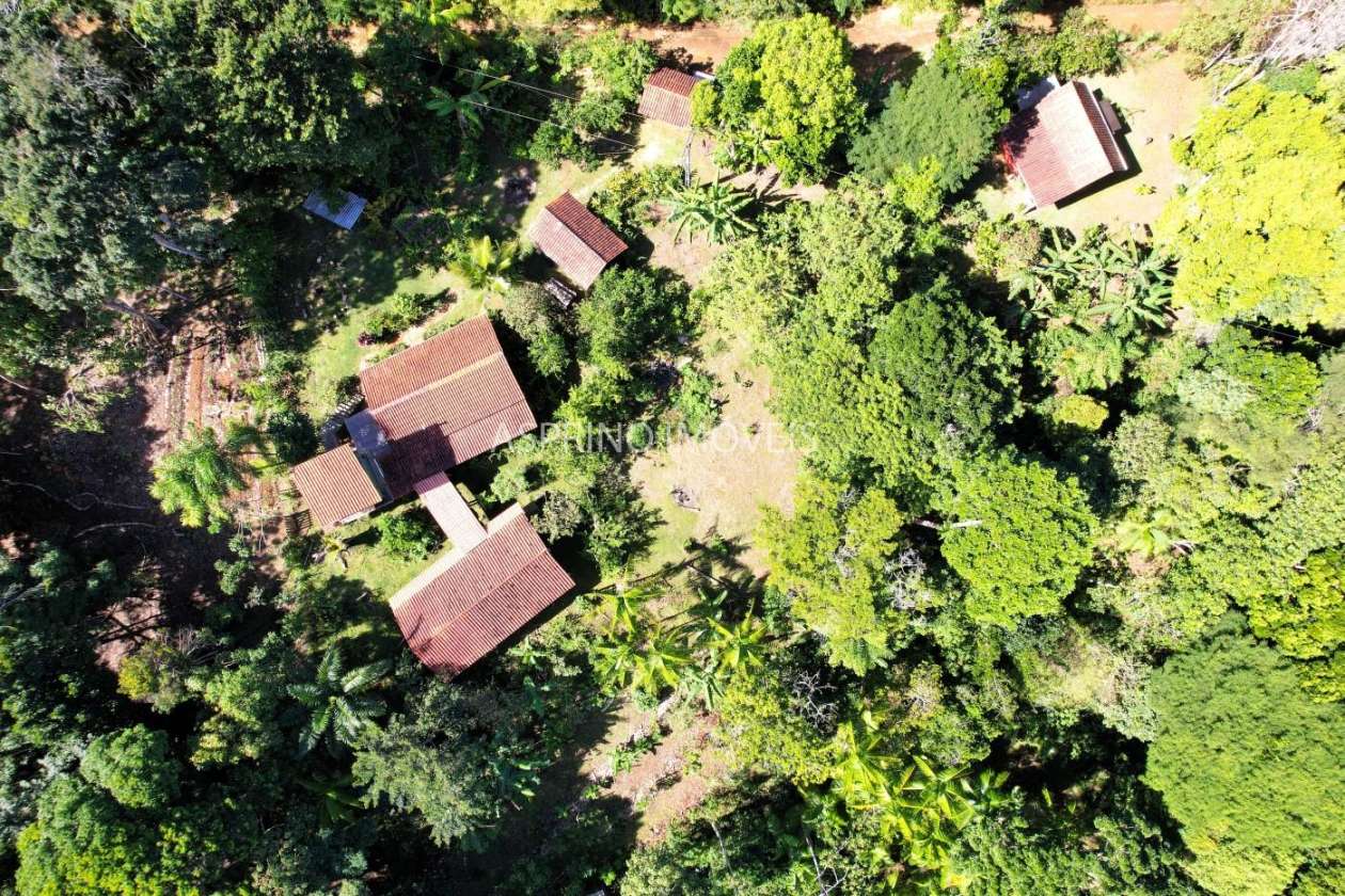 Chácara, 4 quartos, 4 hectares - Foto 6