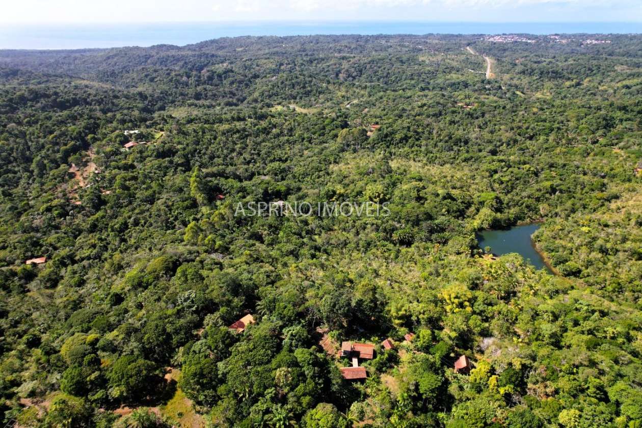 Chácara, 4 quartos, 4 hectares - Foto 7