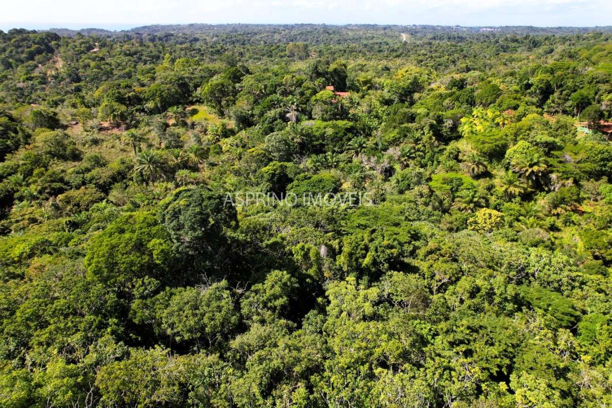 Chácara, 4 quartos, 4 hectares - Foto 10