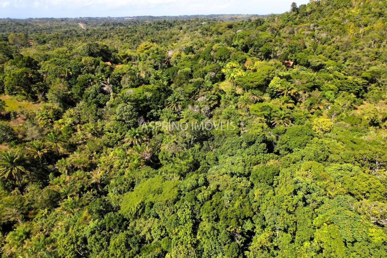 Chácara, 4 quartos, 4 hectares - Foto 11